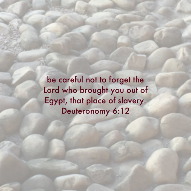 Mark Hutton (@jmark_hutton) on Twitter photo 