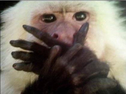 🥛🍞 tweet media