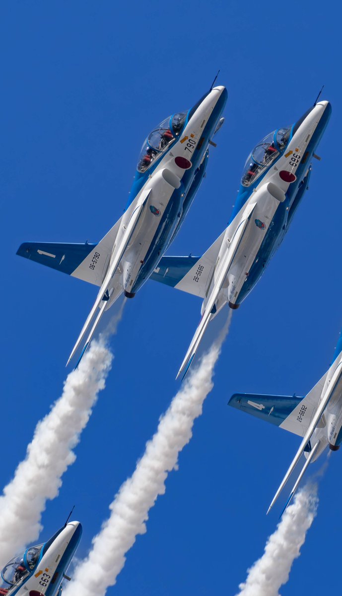 自宅近くの川に行くも青い鳥（カワセミ）がいなかったので…😅 予定変更