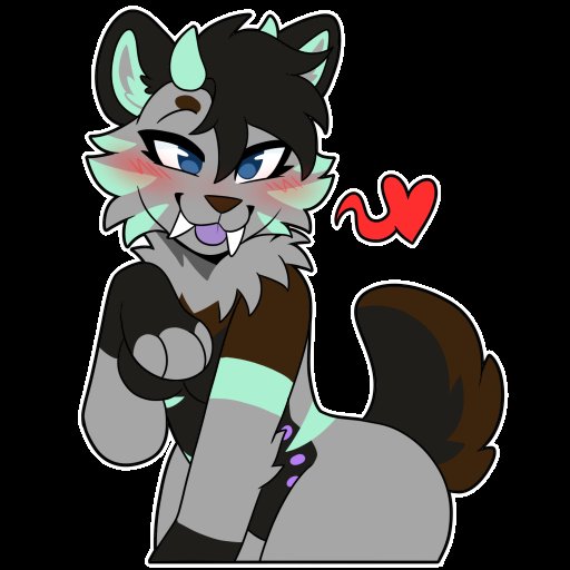 Nova after dark@🔜TFF tweet media