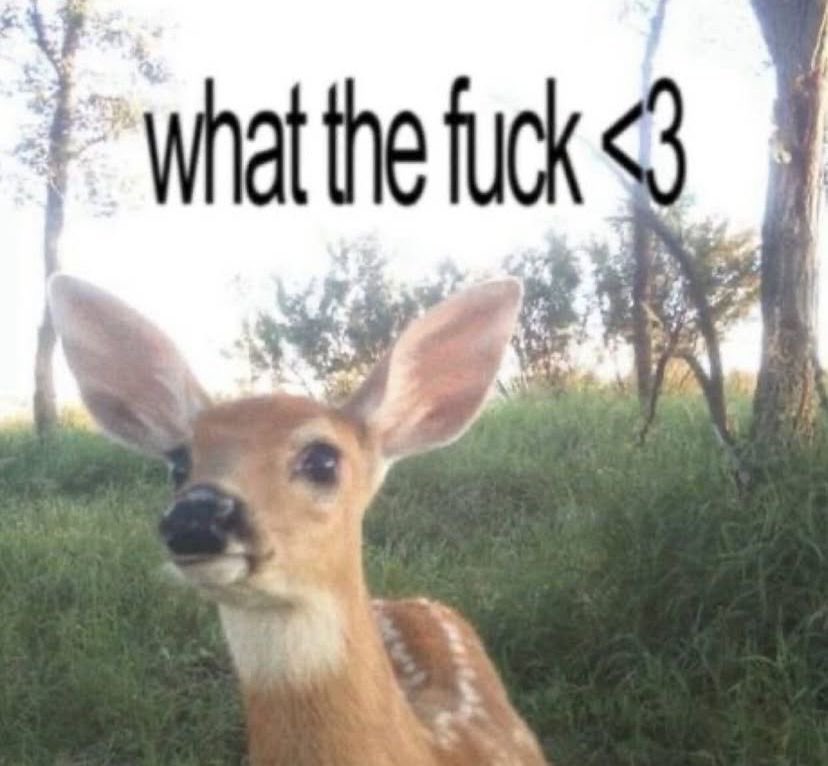 a broken soul tweet media