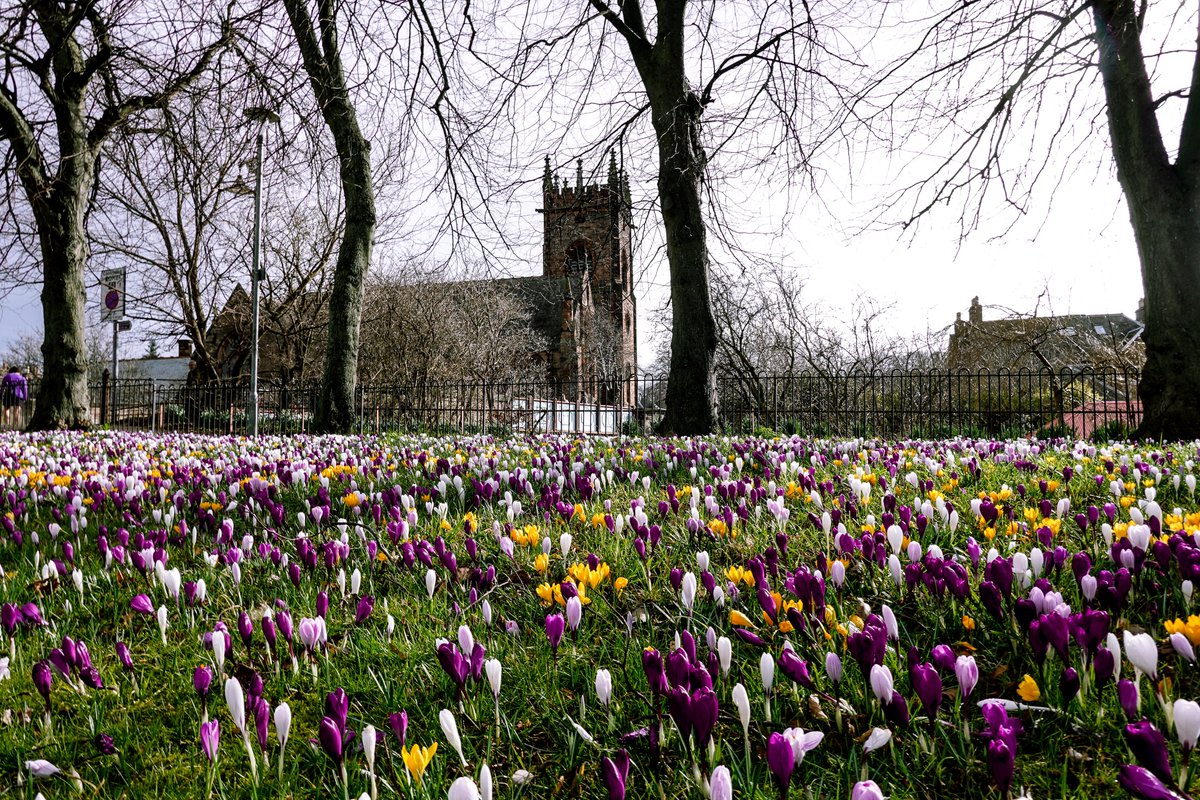 Martin Paterson 🏴󠁧󠁢󠁳󠁣󠁴󠁿 tweet media