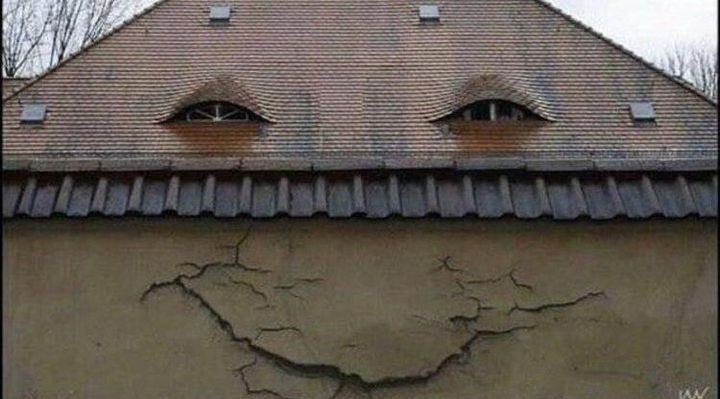 𝐂𝐀𝐋𝐄𝐁. tweet media