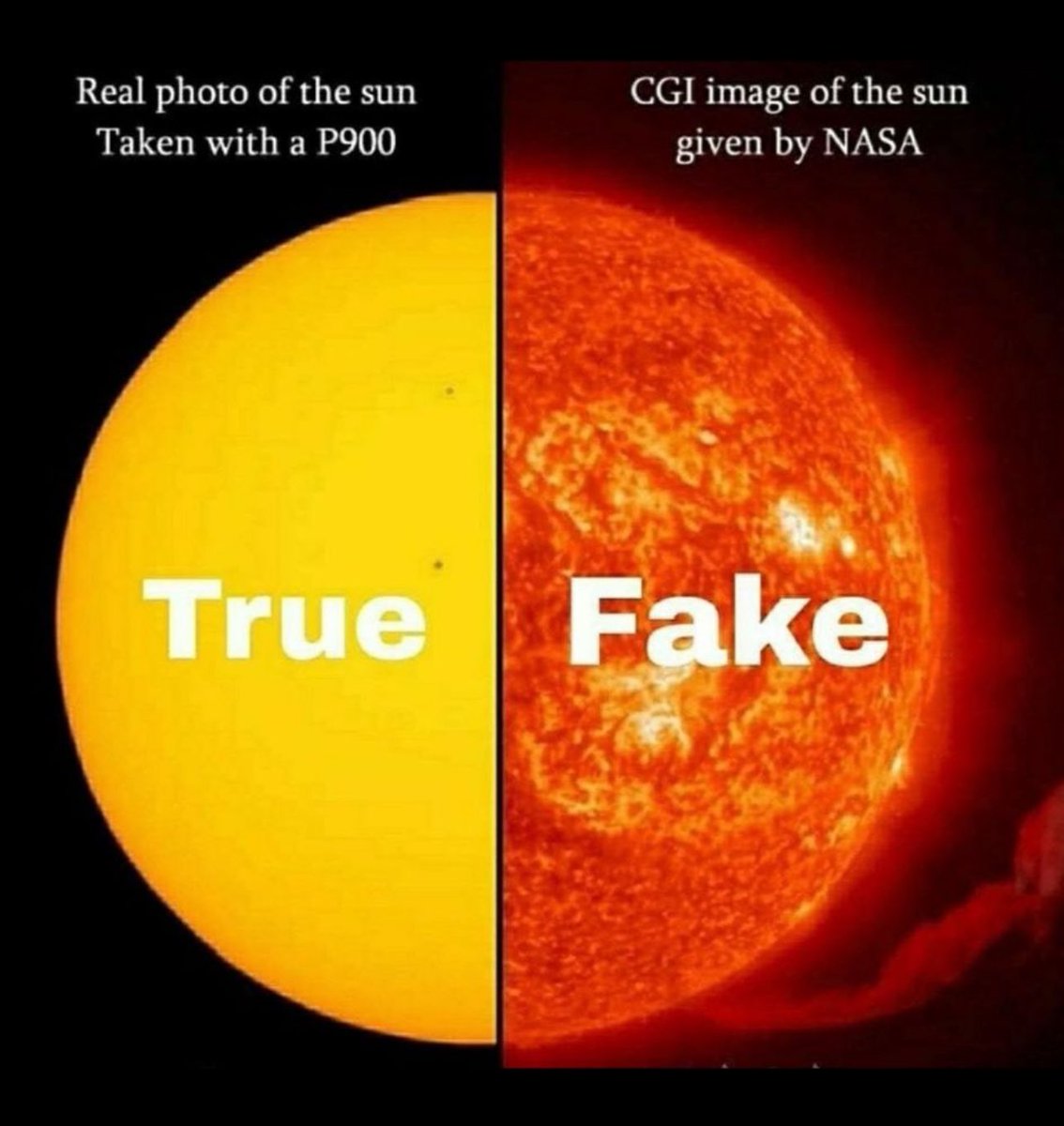 FLAT EARTH LIBRARY tweet media