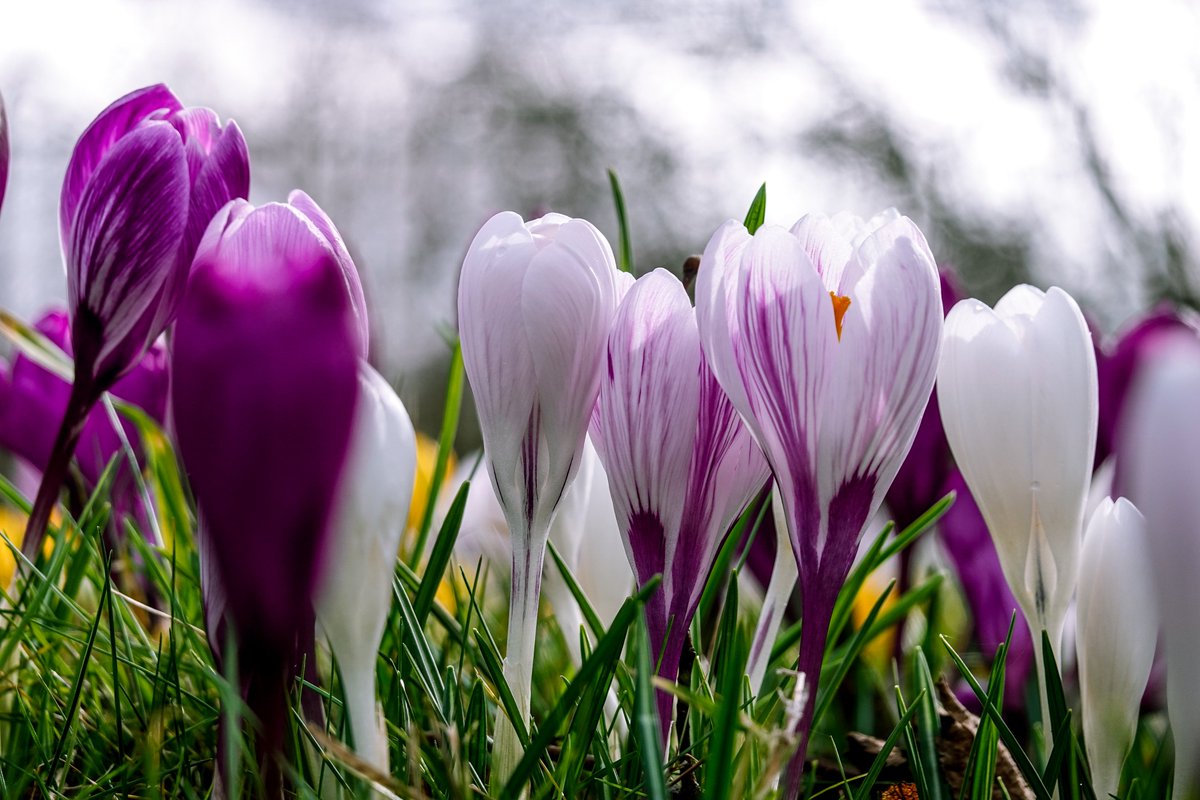 Martin Paterson 🏴󠁧󠁢󠁳󠁣󠁴󠁿 tweet media