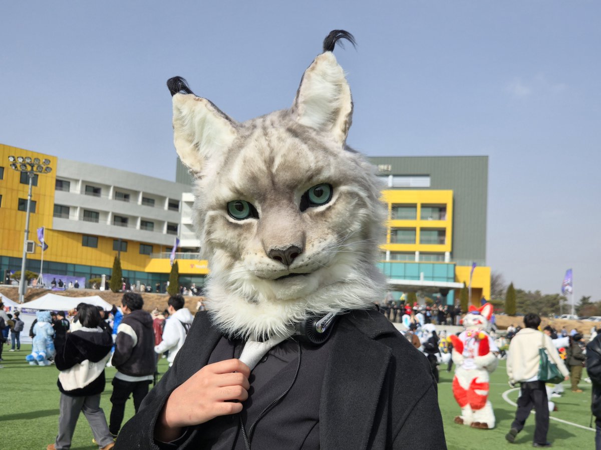 호산달 tweet media