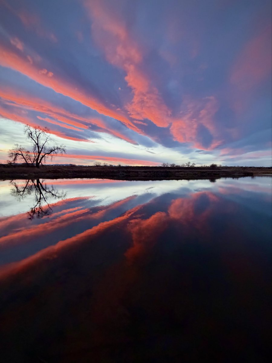 D Miller tweet media