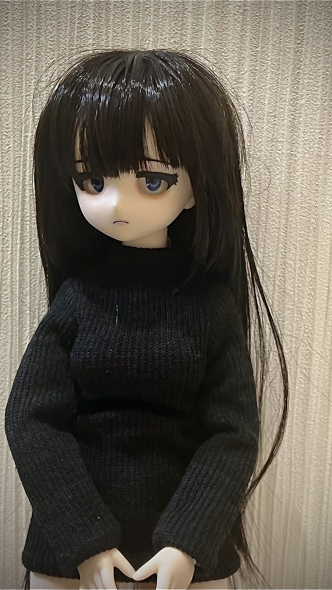 身体が手に入ったので、ウィッグのセットに挑戦しましたがダメでした