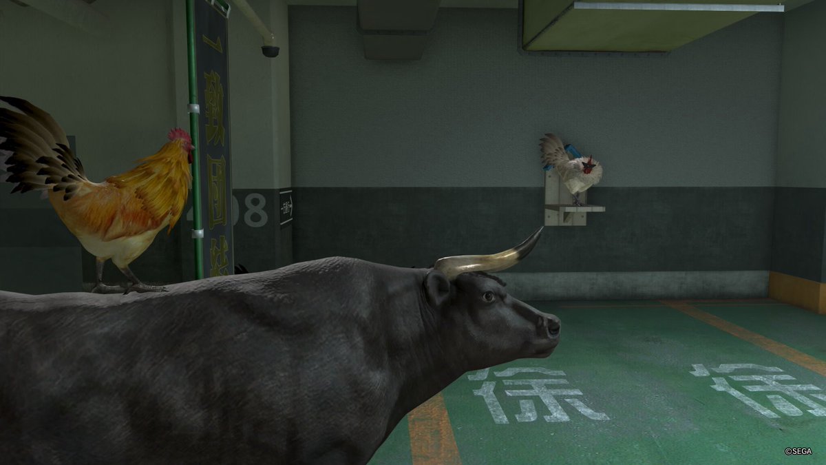 #龍が如くのニワトリ
極３のハイサイ鶏。