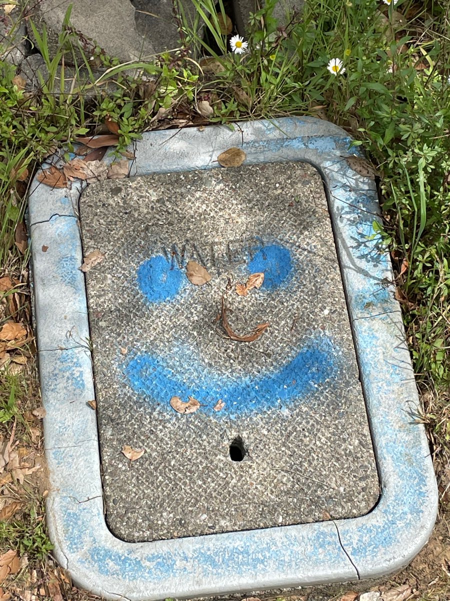 Waxe Wod tweet media