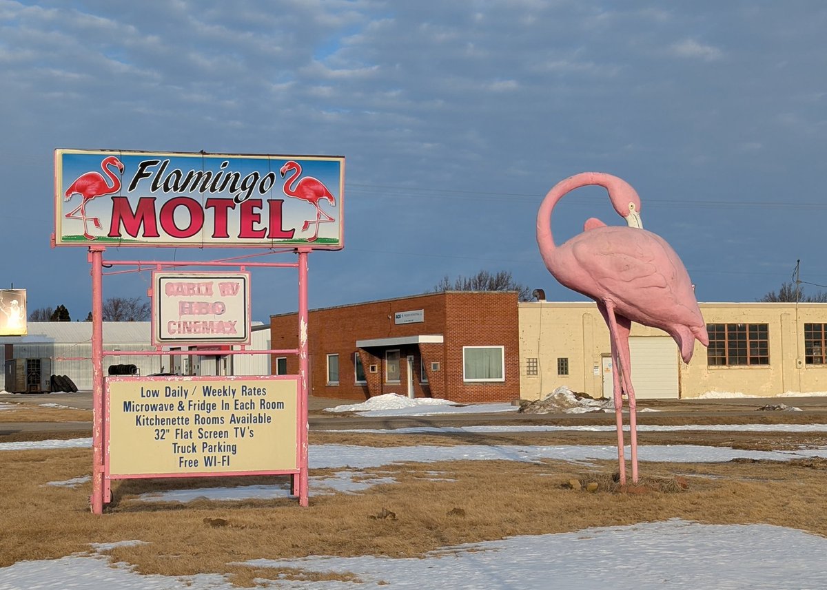 Dave Ryan tweet media