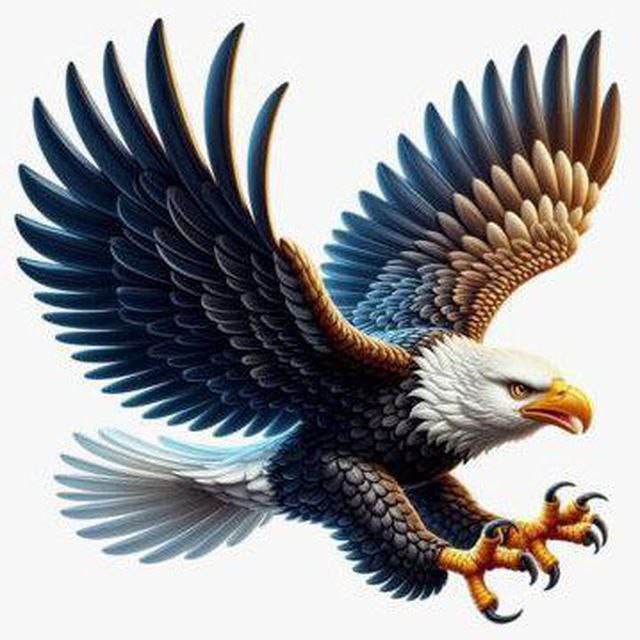 NONNY PADJA NTT ❤ Eagle woman 🦅 tweet media