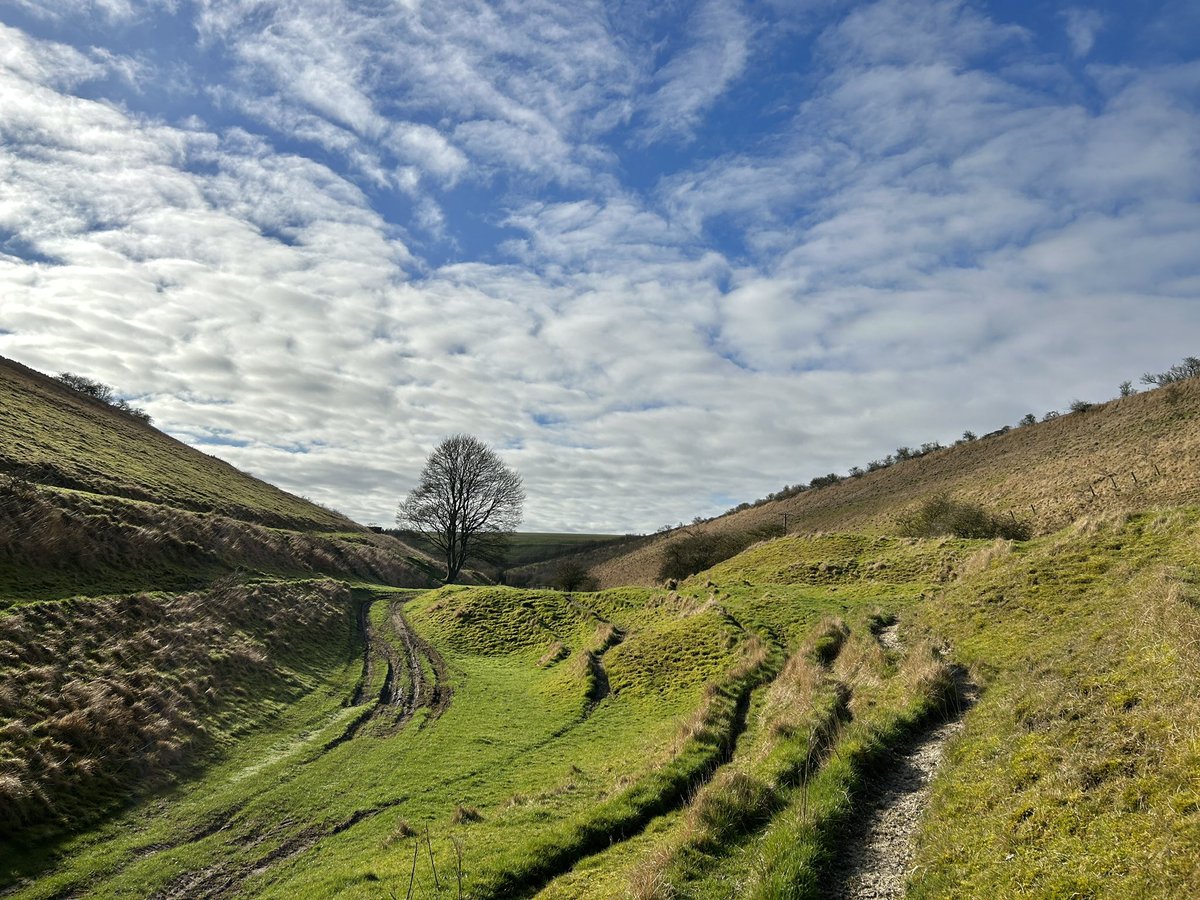Yorkshire Wolds Weather tweet media
