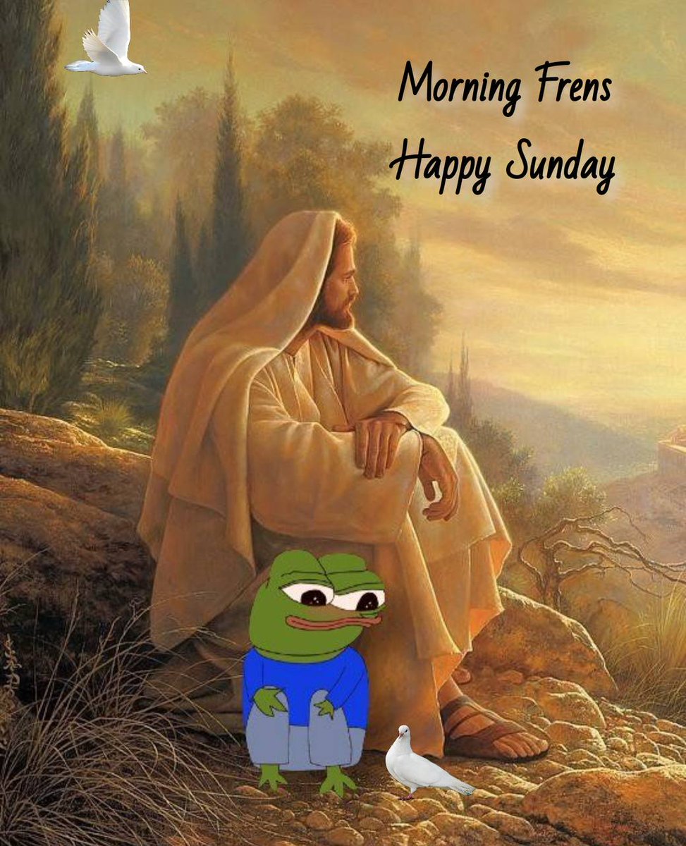 Pepe Deluxe 🐸 tweet media