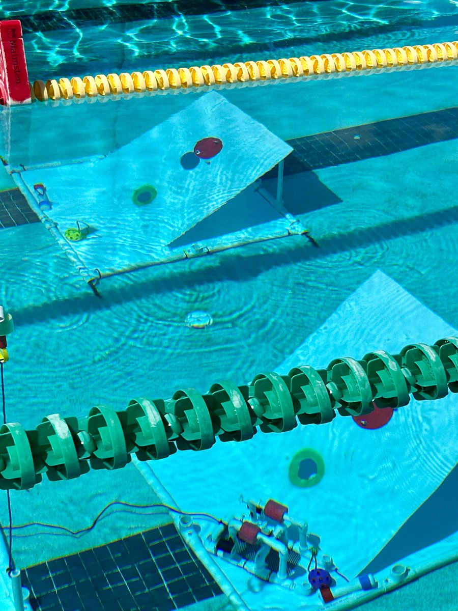 Pines Collegiate Academy 6-12 tweet media