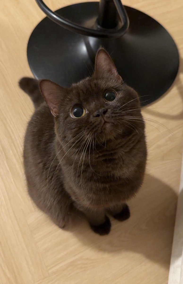 มองตาฮัดชิ้วจิคั้บบ พิๆมีป๋มอยู่ในใจยางงงงงงง