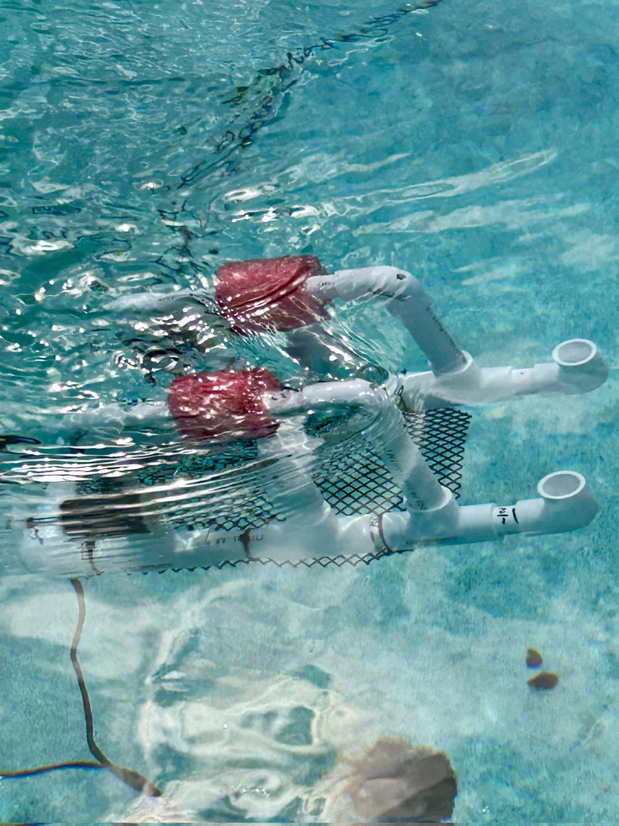 Pines Collegiate Academy 6-12 tweet media