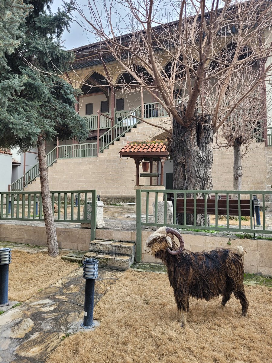 apencee's tweet photo. @tasvirsanatlari Yeni gitmiştim. https://t.co/CcFpmKJADT
