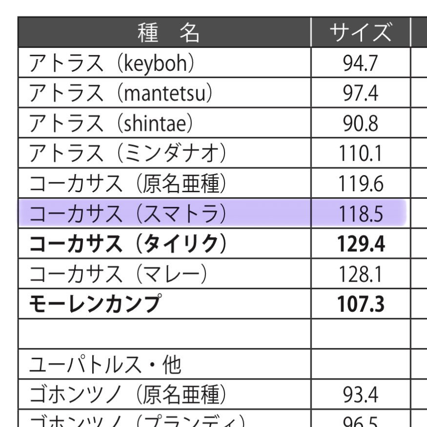 🏴‍☠️89WA【HAKUWA】🏴‍☠️ tweet media