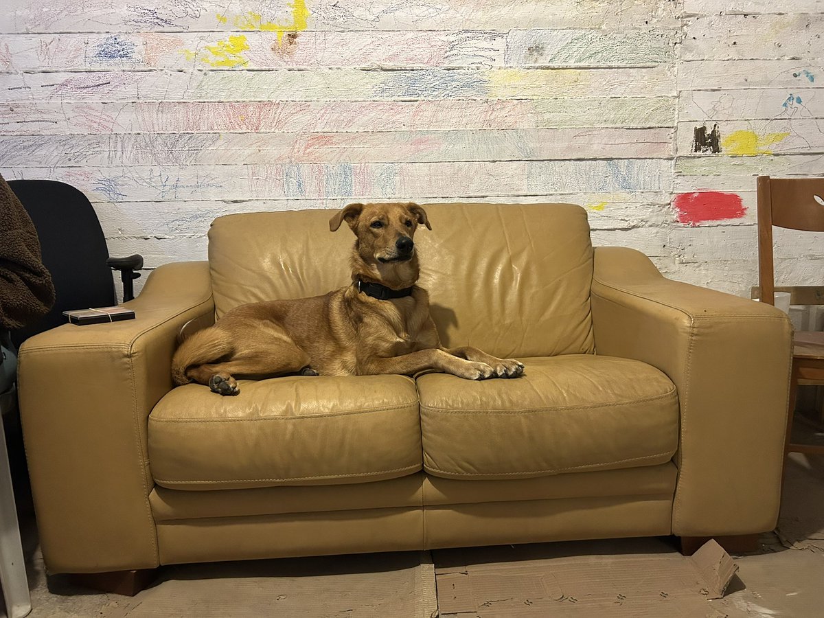 Shirli Lior tweet media