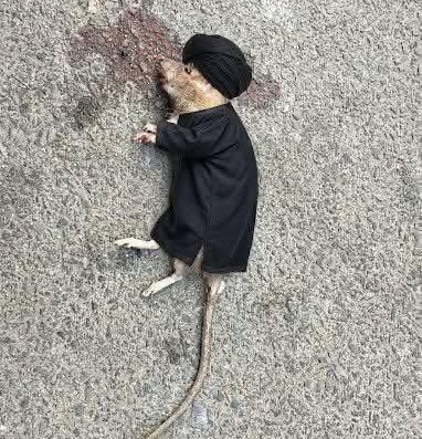 <a href="/elmamertoeste/">El Mamerto este</a> <a href="/linamariagarri1/">Lina Maria Garrido</a> Vaya y se lo cuentas al ayathola de #Iran