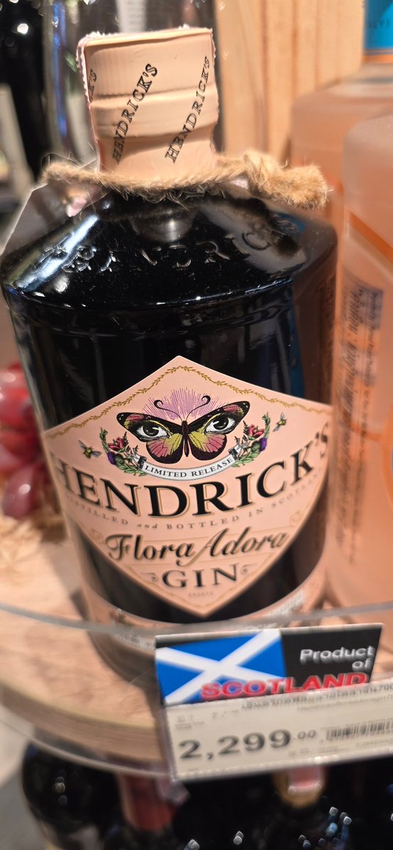 Is this good to bribe a ginholic??