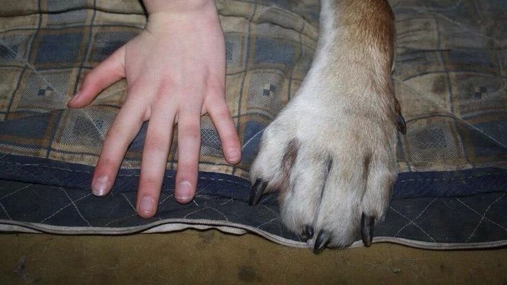 vinsent | edtwt tweet media