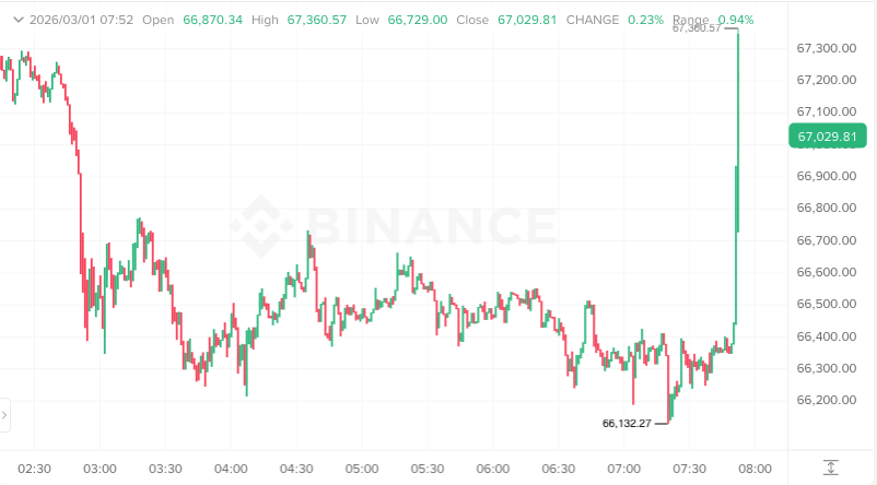 Satoshi Flipper tweet media