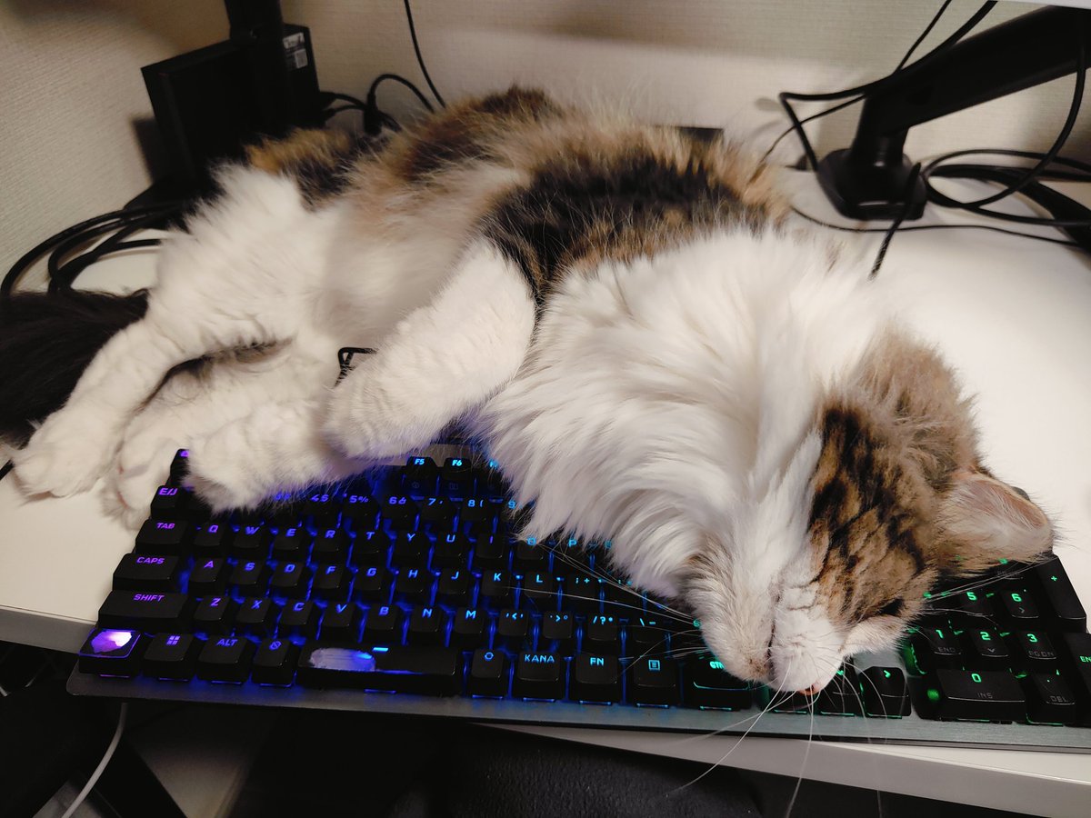 ts_cookie tweet picture