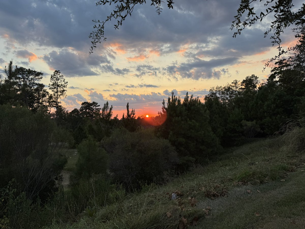 🥁 Rob 🎸 tweet media