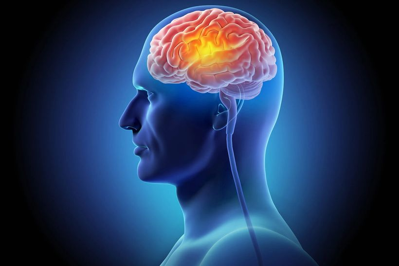 ExpertFile tweet media