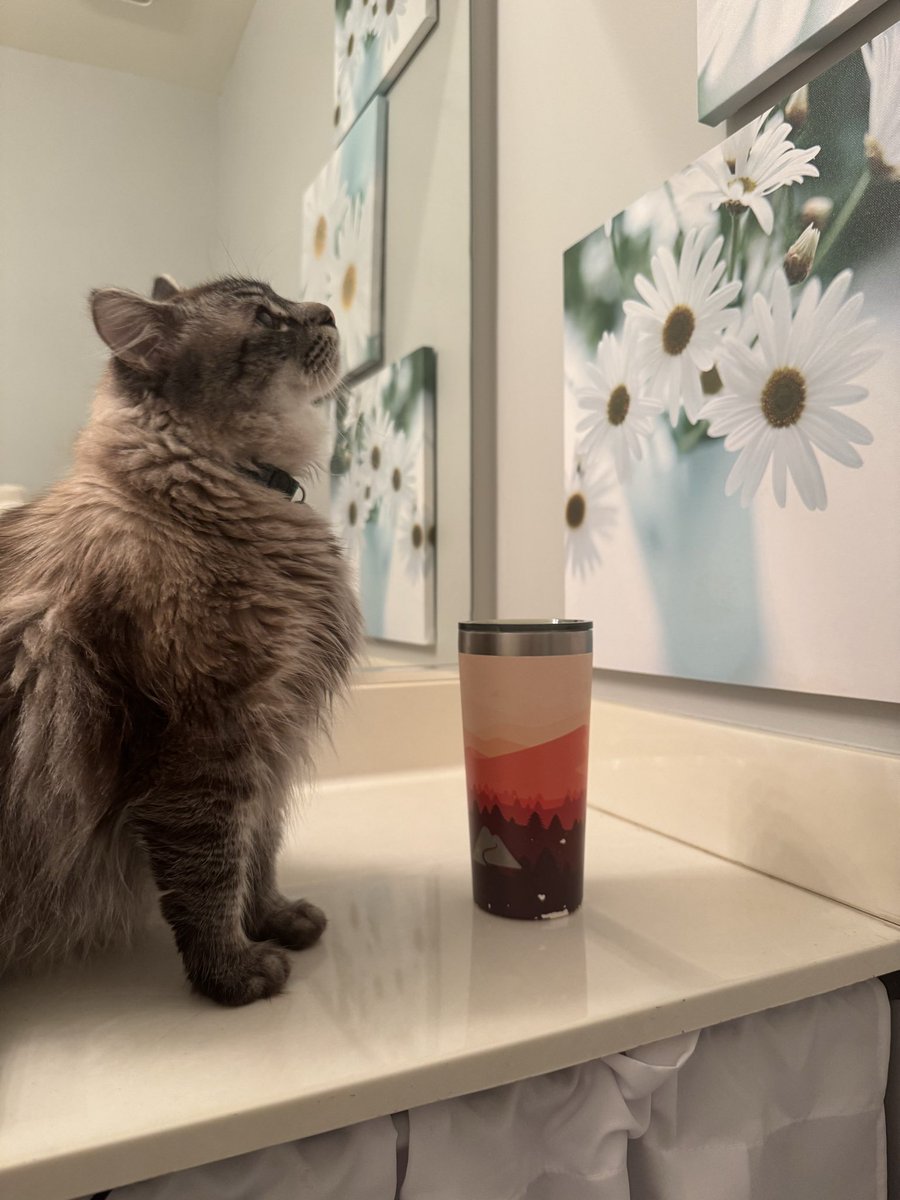 magicaldaisy007 tweet media