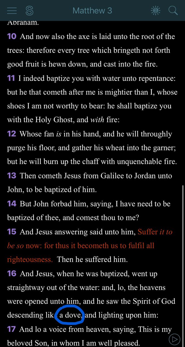 Melchizedek 🕊️ tweet media