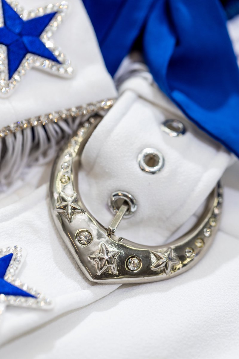 Dallas Cowboys Cheerleaders tweet media