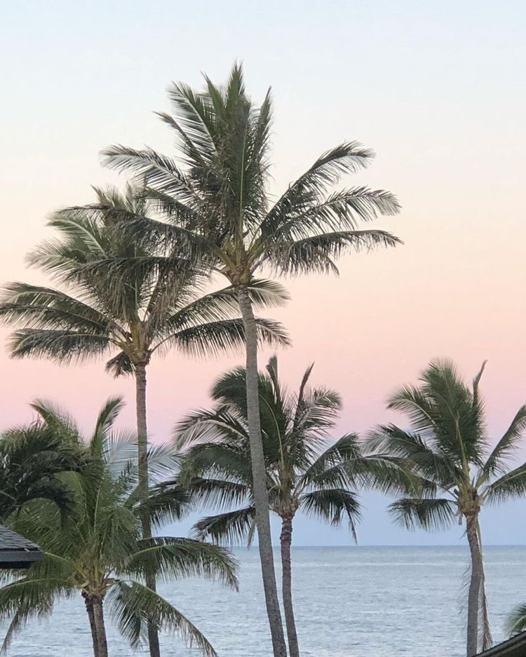 melanidiaries's tweet image. ˚୨୧⋆｡˚ ⋆  cómo manifesté un viaje aunque la 3d decía todo lo contrario? ✧˖°

hilo para #loa #loatwt #loass ☀️

rt + like para más ^^