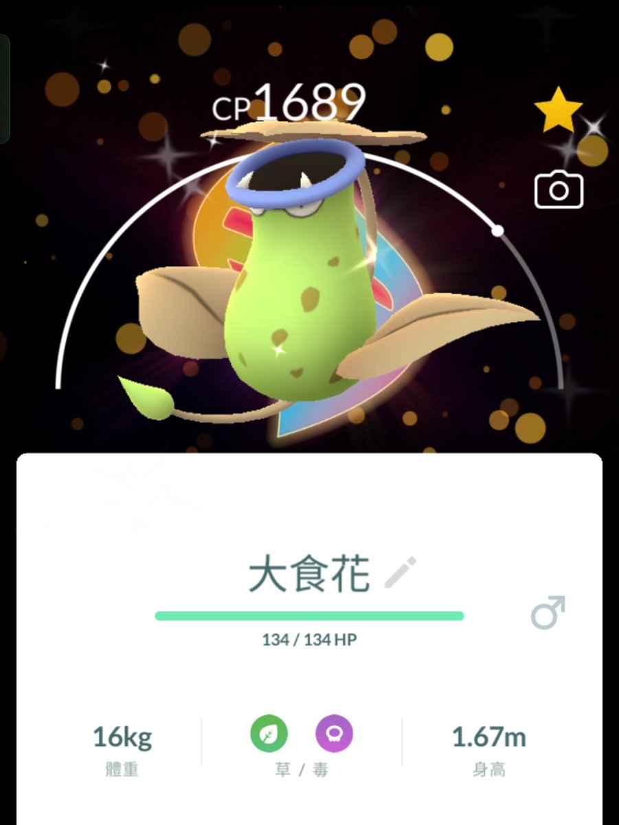 H & J 中部恩愛夫妻 tweet media
