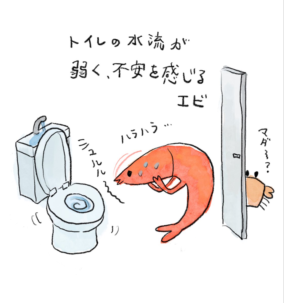 すしず🦐エビちゃん🍤 tweet media