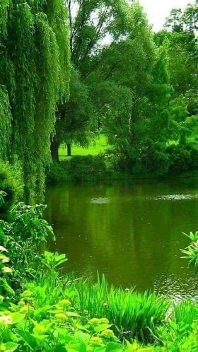 emirdag's tweet image. Ne #Musa biliyordu ,
Asayı vurunca denizin ikiye ayrılacağını.
Ne #Yusuf biliyordu ;
Kuyudan kurtulup Mısıra #Sultan olacağını .
İkiside biliyordu ;
Allaha sığınanın Feraha ereceğini…
#RamazanRuhunuYasat  #iyiakşamlar