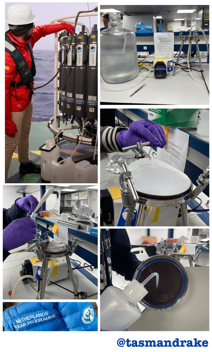 TASMANDRAKE tweet media