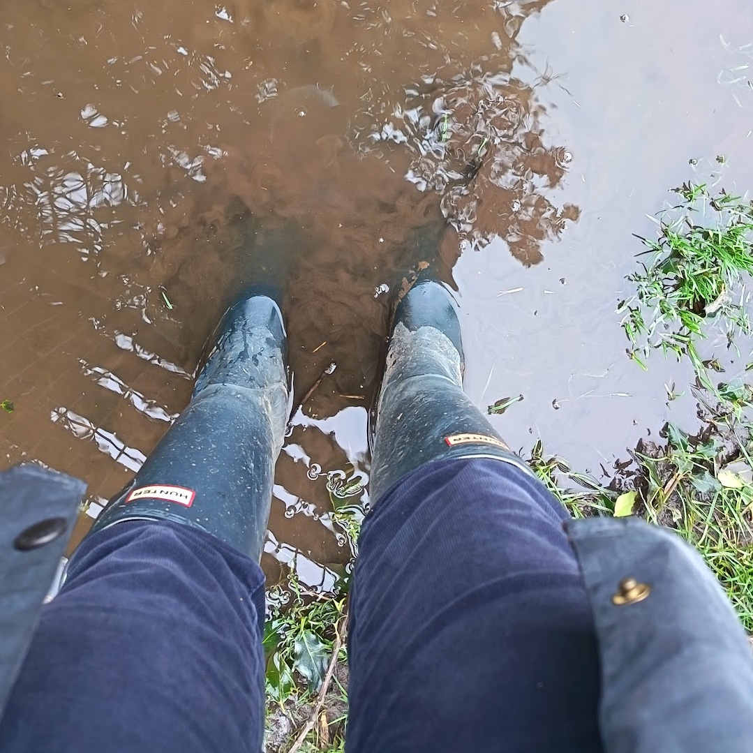 AlisonPailing's tweet photo. #AlphabetChallenge #WeekHforHs 

Hunters
Had to get the big boots out for today’s walk. https://t.co/z8ZstfCdqK