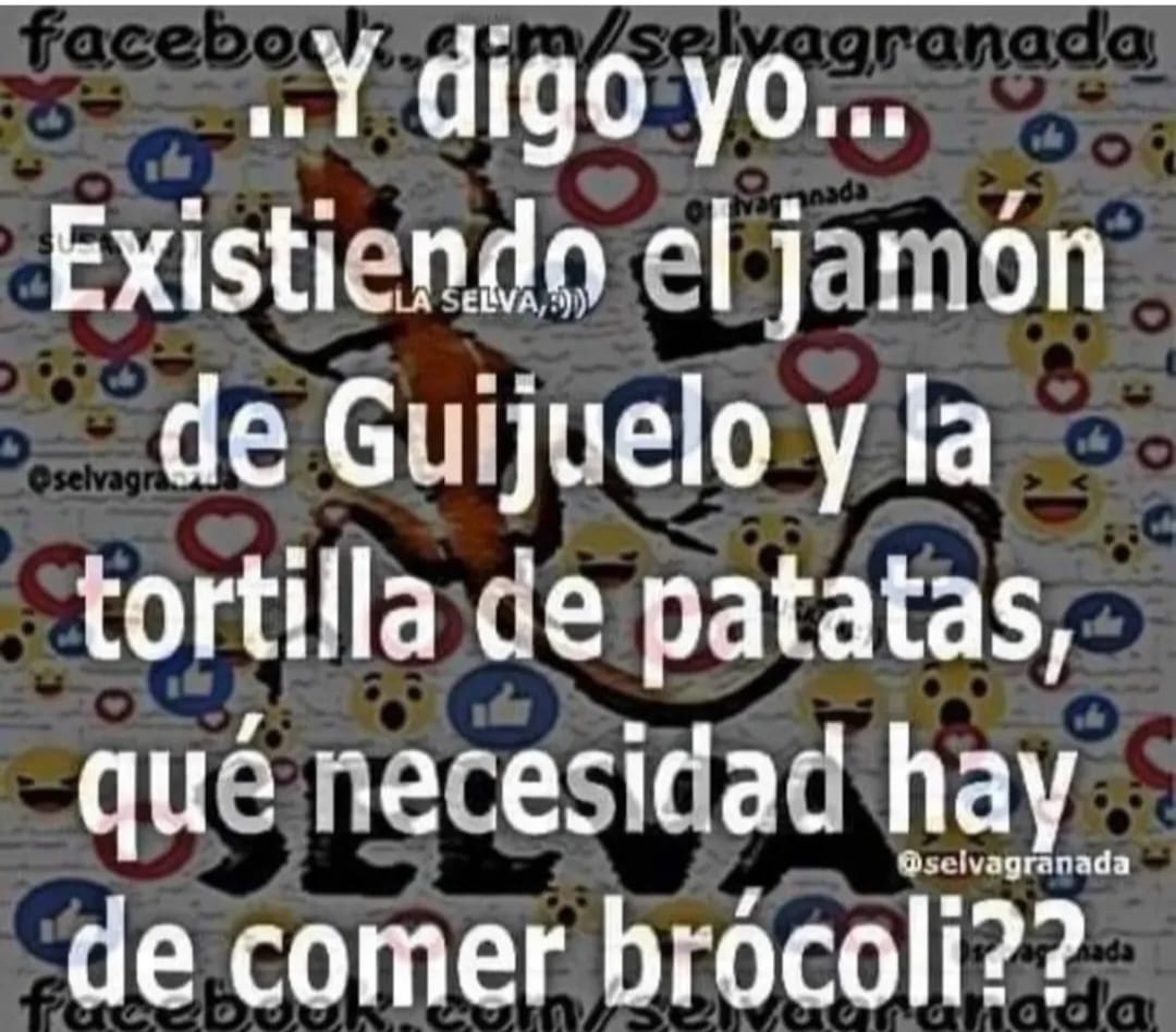 Paloma 🇪🇸🇮🇨 tweet media