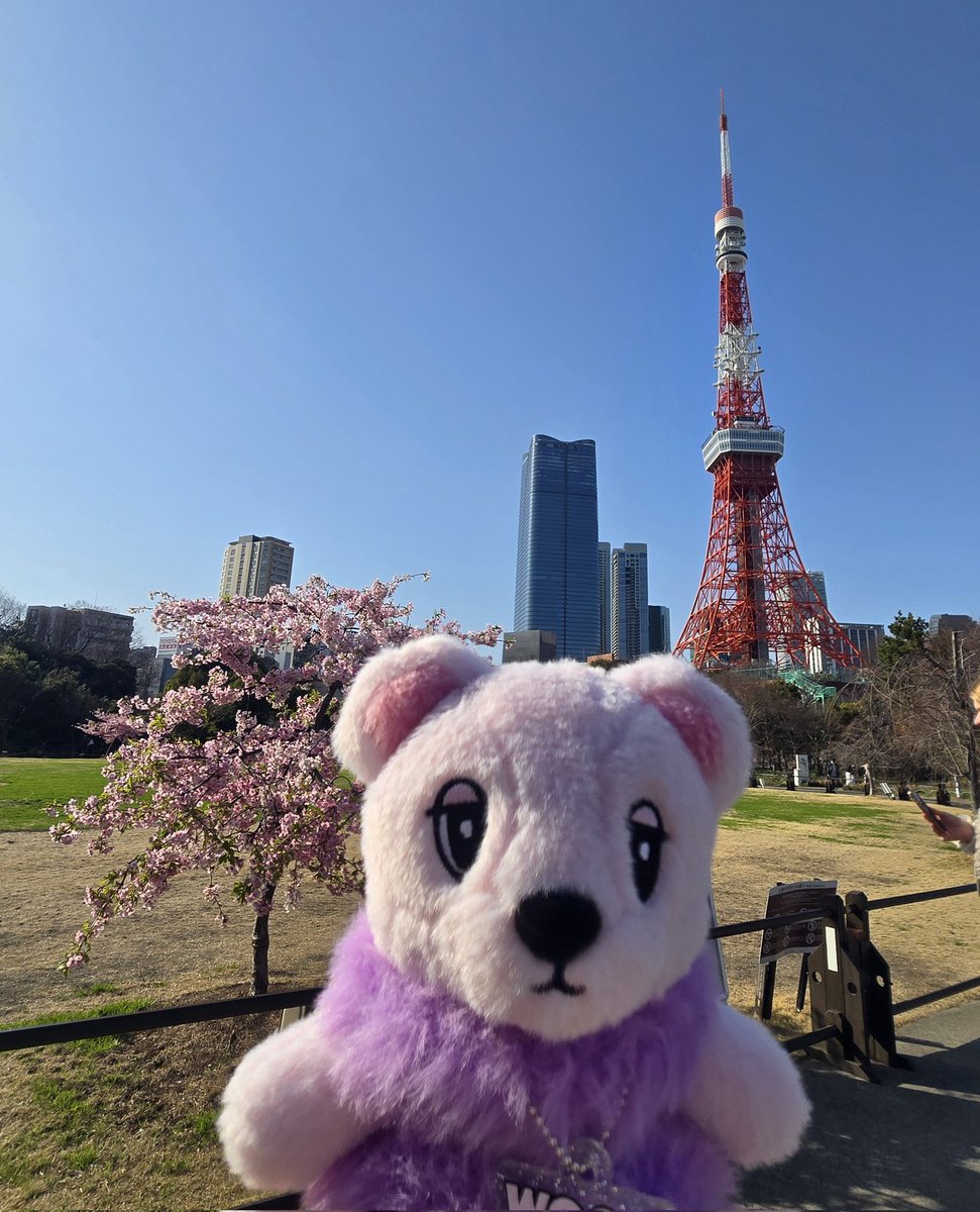 西麻布から今度はドンウクさんを辿って芝公園へ😆
良い天気で桜が映えてました🌸
そしてまたもやドンウクさんが座ってたであろう場所には人が😅
仕方なく遠くから眺めました(怪しいww)