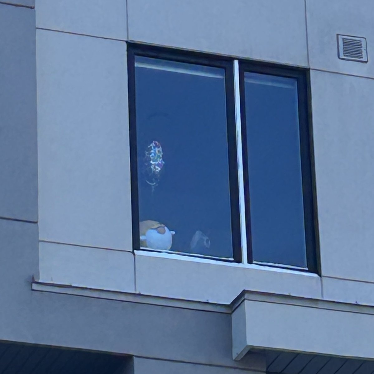 rin 🍊 @ toronto comic con A2203 tweet media