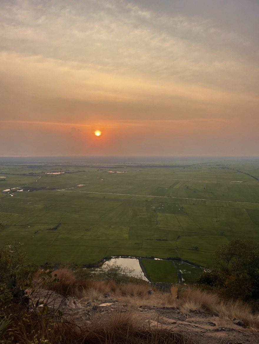 Solana Del Ray tweet media