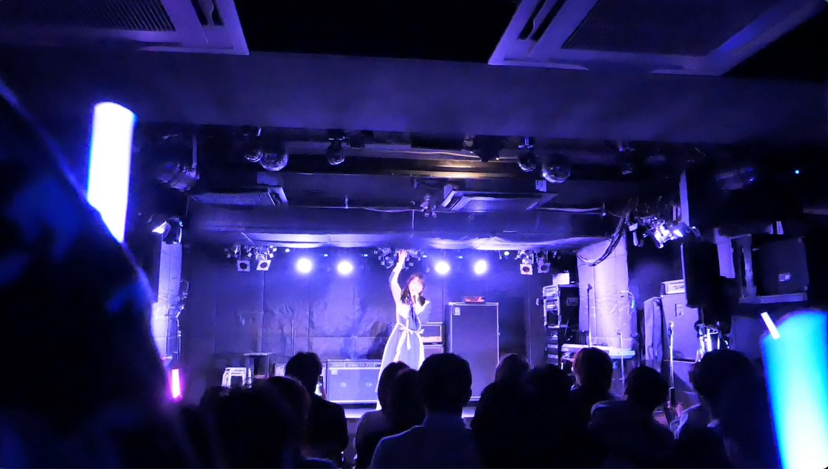 ななねこ🐱(なな@猫大好き) tweet media