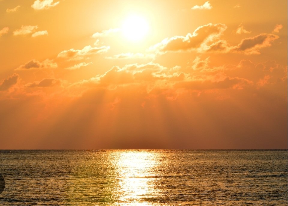 mhonividente's tweet image. Hoy en este dia de #DomingoFamiliar Gloria de Dios será en mi vida y aprenderé a valorar a todos mis seres queridos y repartiré abrazos 🤗 con mucho cariño. Hoy pienso disfrutar al máximo todo lo que me rodea y decreto que que este mes de Marzo estara lleno de Bendiciones en vida