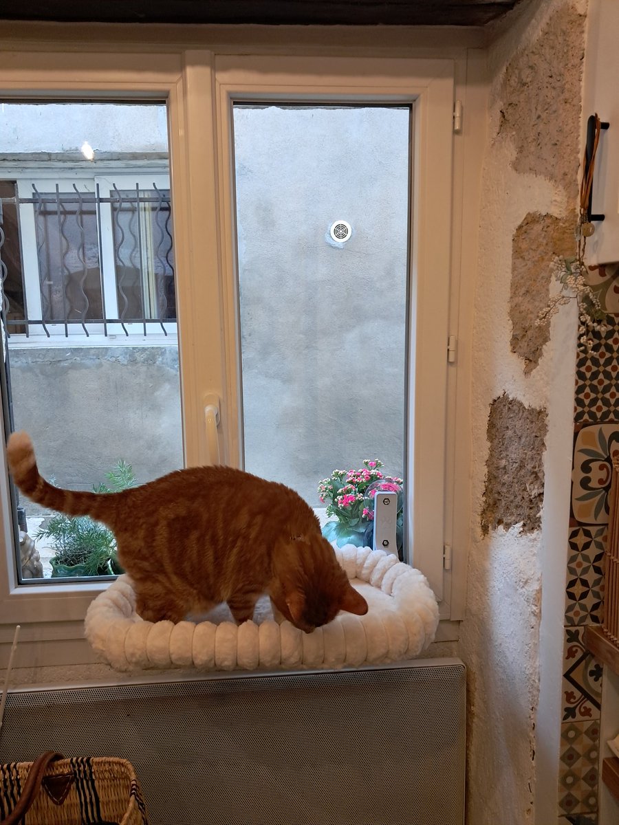 fredeepirula's tweet photo. @miamologue Bien 4,6 kg et tout va bien https://t.co/vn8CvtYY22