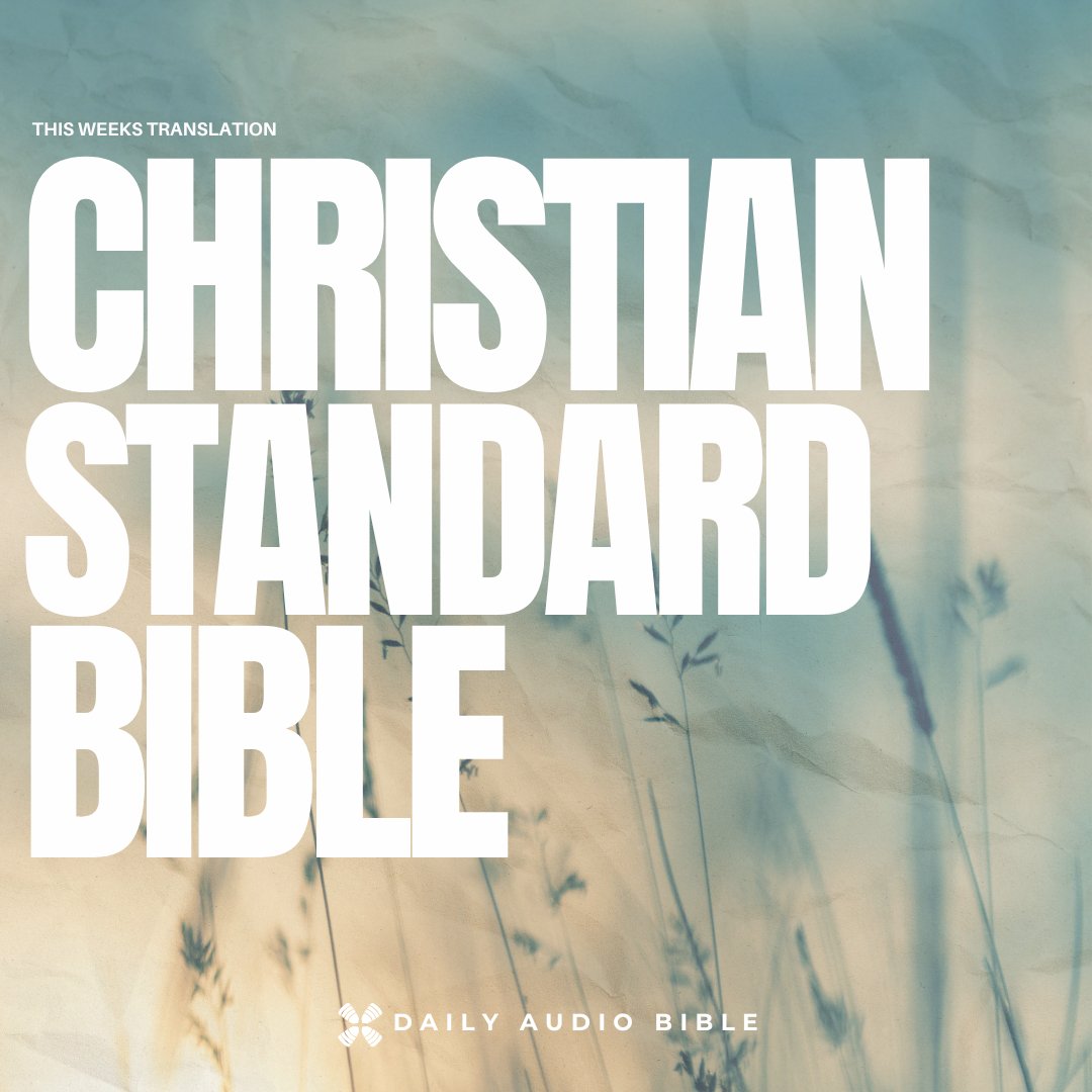 Daily Audio Bible tweet media