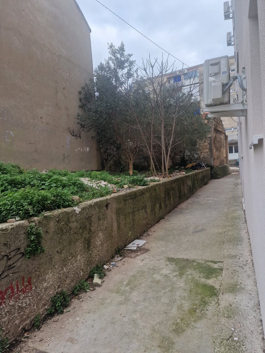 Od ZG je zmazaniji samo Zadar...ovdje ljudi nemaju hortiKULTURU. Od Novog Vinodolskog do Savudrije je drugi svijet, hortiKULTURNIJI. Dalmoši su ljenčuge🤨