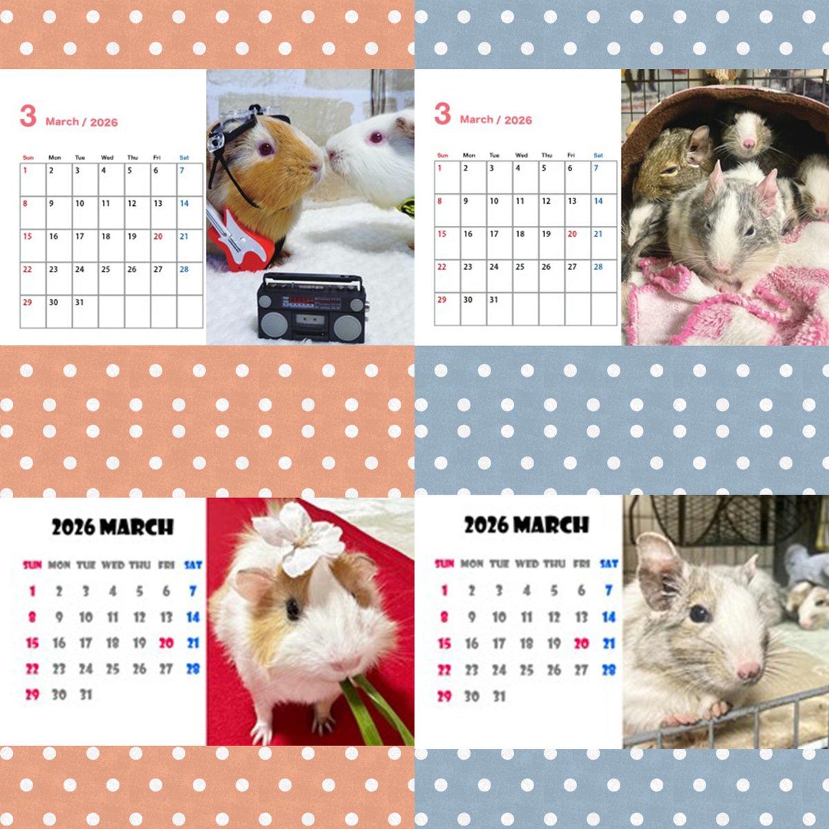 3月のカレンダー紹介です
みなさんとってもかわいいです(°▽°)
2026年ももう6分の1が終わったと思うとびっくりする
まだ何も形に残してない(-_-;)
ひな祭りはみんなどうするのかなo(^o^)o